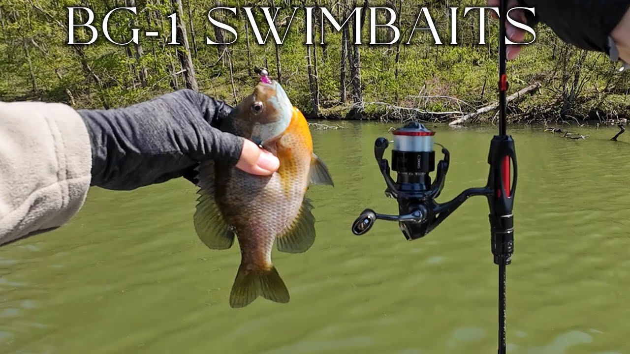 Shallow Bluegill on Micro Swimbaits and Super Ultralight