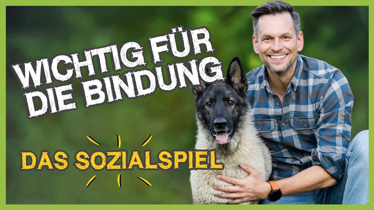 Richtig SPIELEN mit dem Hund! Wieso das EXTREM wichtig ist!