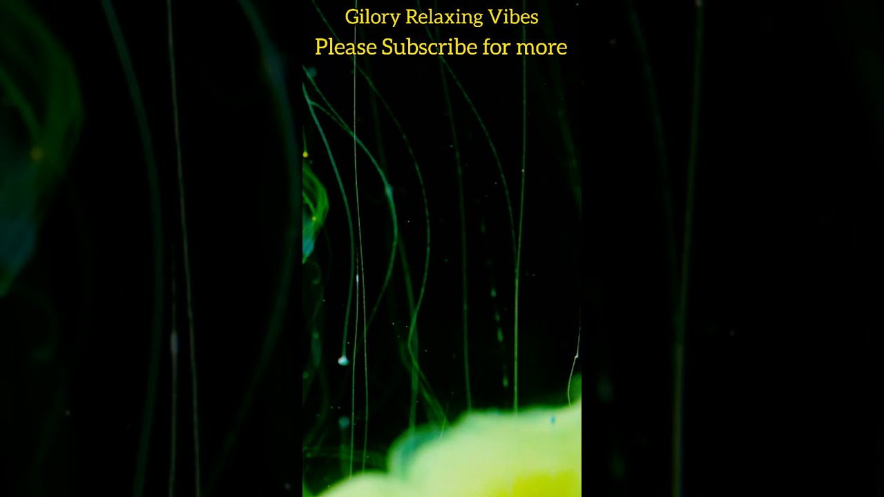 🌞Music for Relaxation, Silent Music for Relax, Music To Improve Concentration, Meditation,  #Shorts