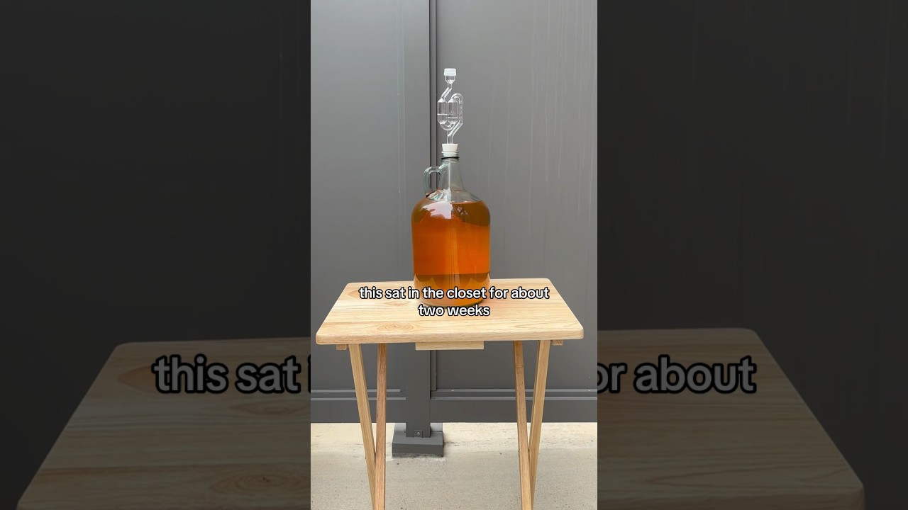 Making Hard Apple Cider Pt. 2 #brewing #recipe #applecider #appleciderrecipe #mead #homebrew