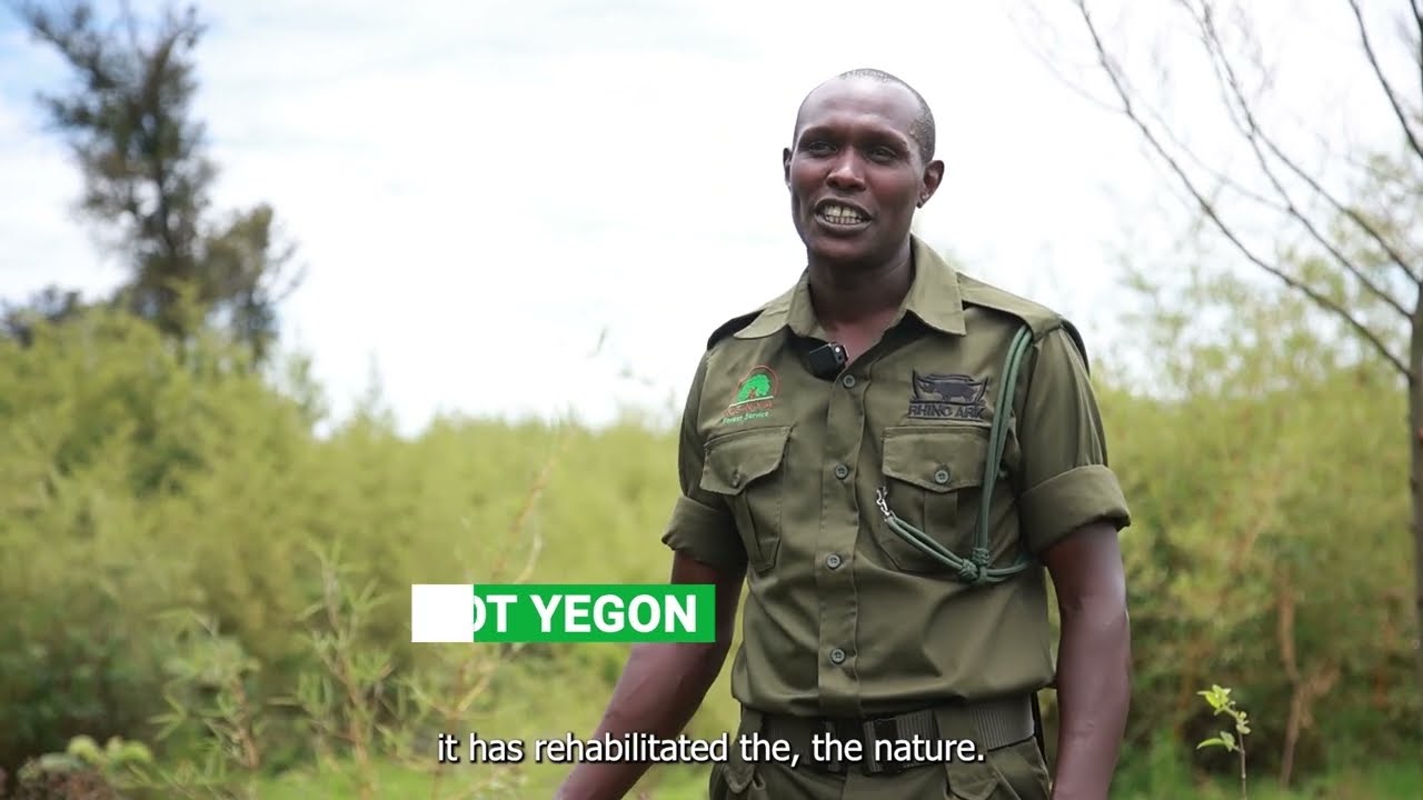 Rhino Ark & The Darwin Initiative: Real Impact for Forests & Communities