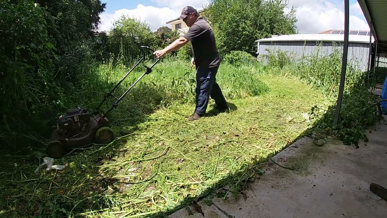 Overgrown yard clean up time lapse | Mowing overgrown lawn, tall weeds #OvergrownYardCleanup