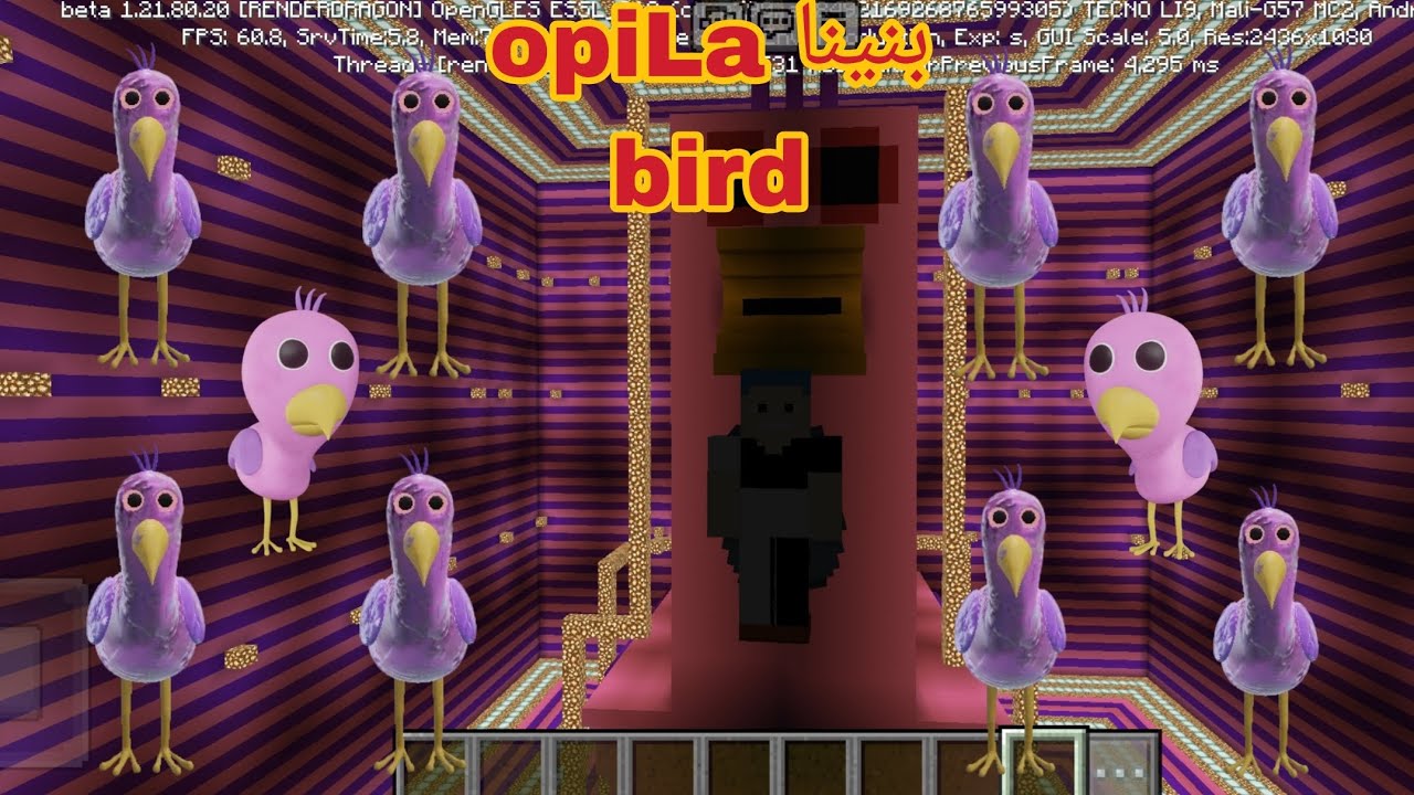 بنينا opiLa bird