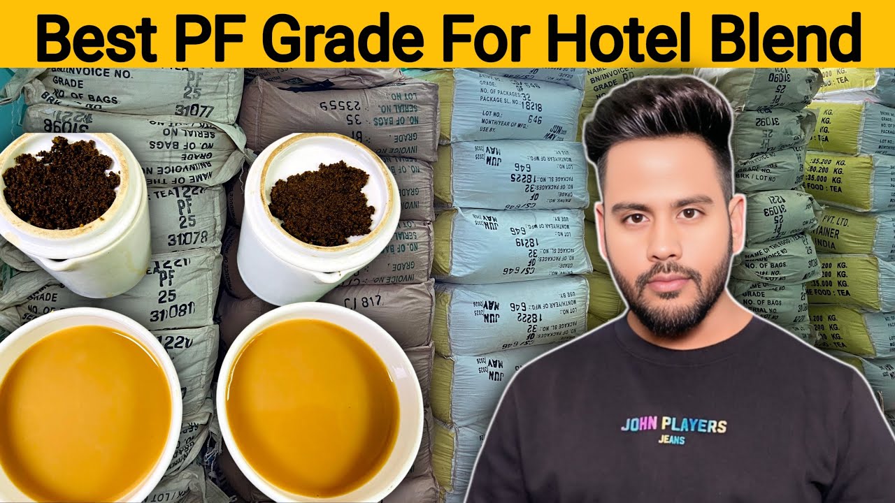 Best PF Grade For Hotel Tea Blend | #assamtea #teabusiness #teawholesale