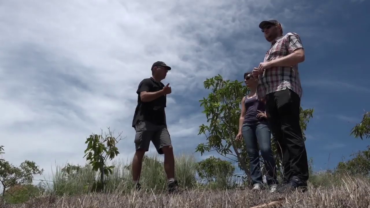 Le Réseau DEPHY FERME Mangue