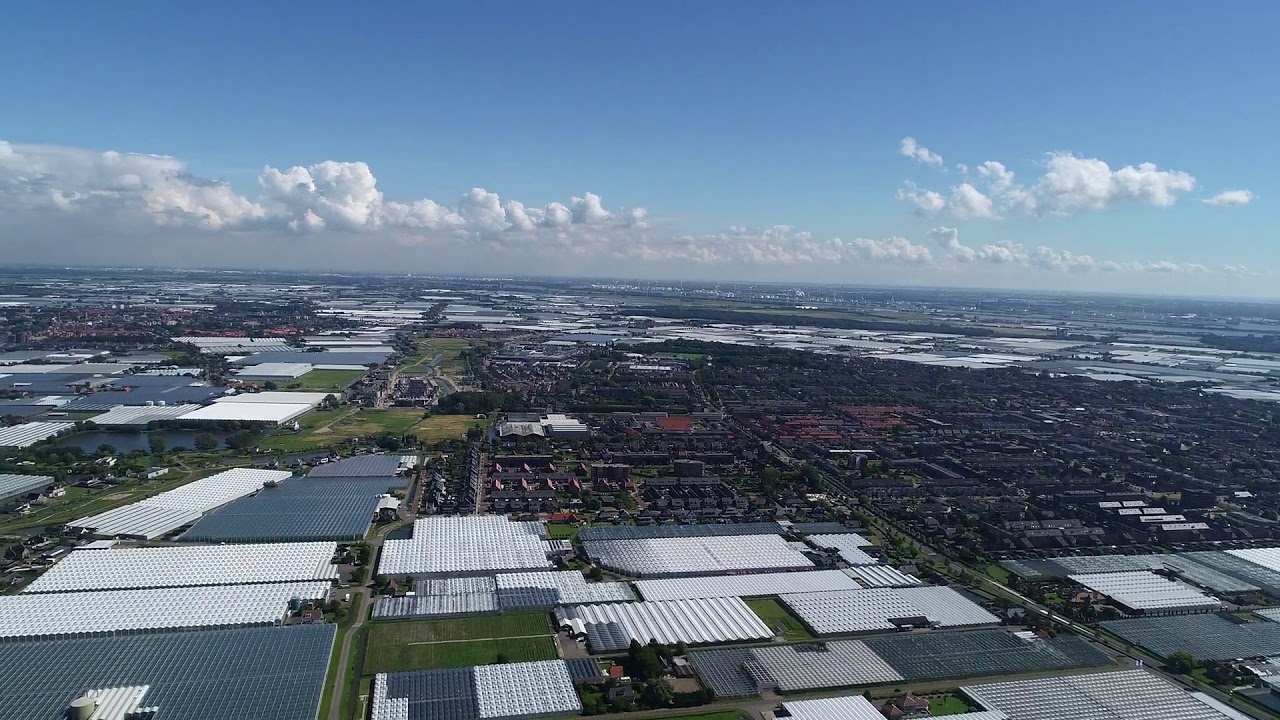 Westland
