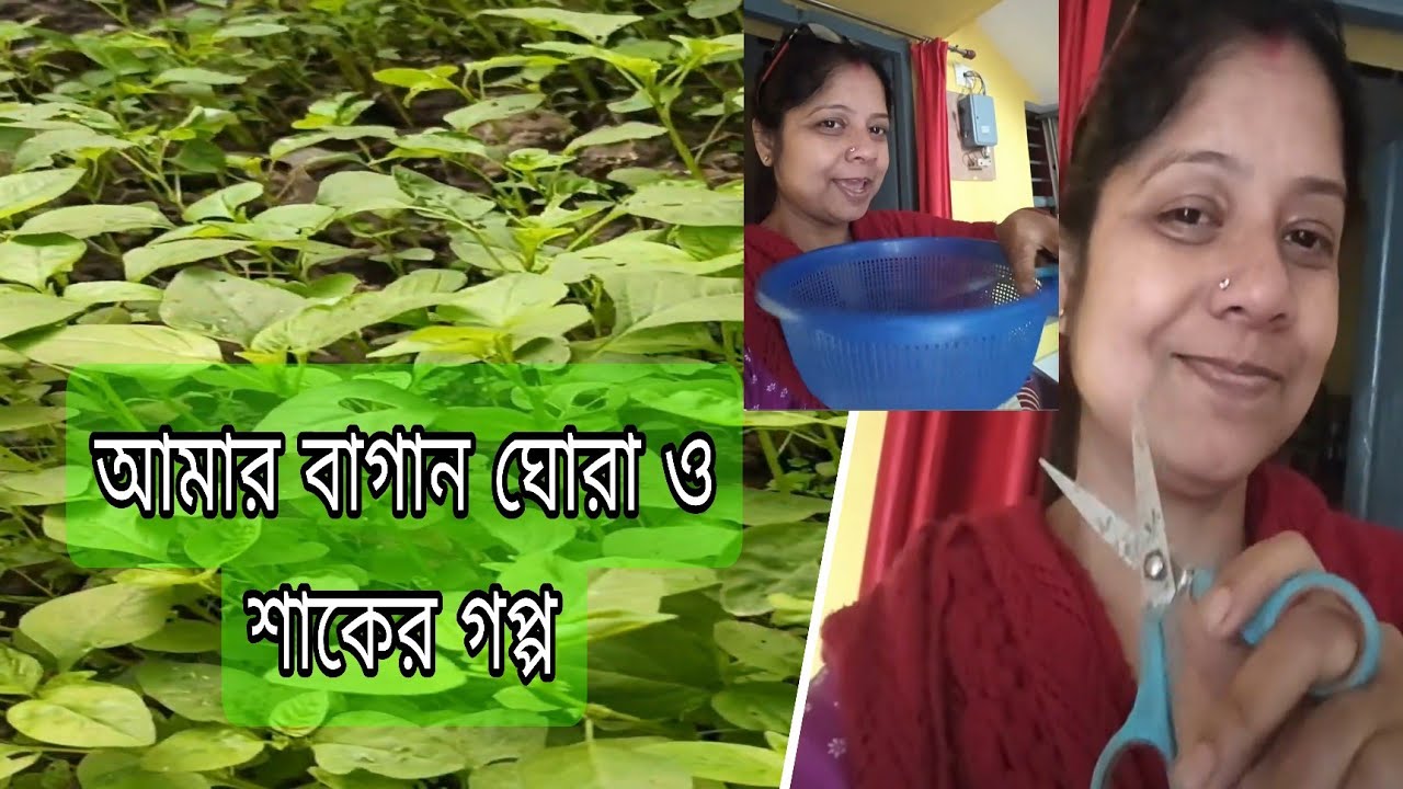 আমার বাগান ঘোরা আর রান্নার কথা🌿মুলোশাক তুলতে গিয়ে সর্ষের শাকে মন ভরে গেল🥰
