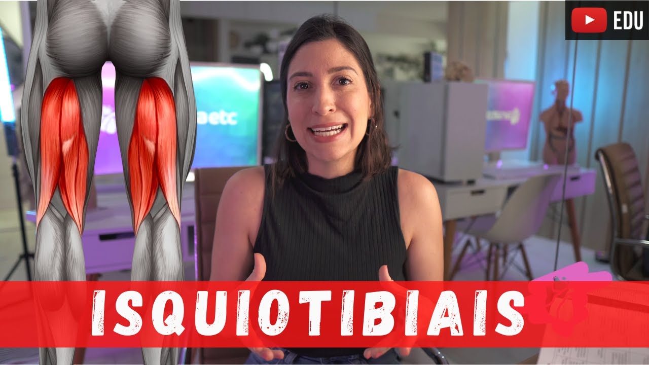Músculos POSTERIORES DE COXA (isquiotibiais): origem, inserção e ação!