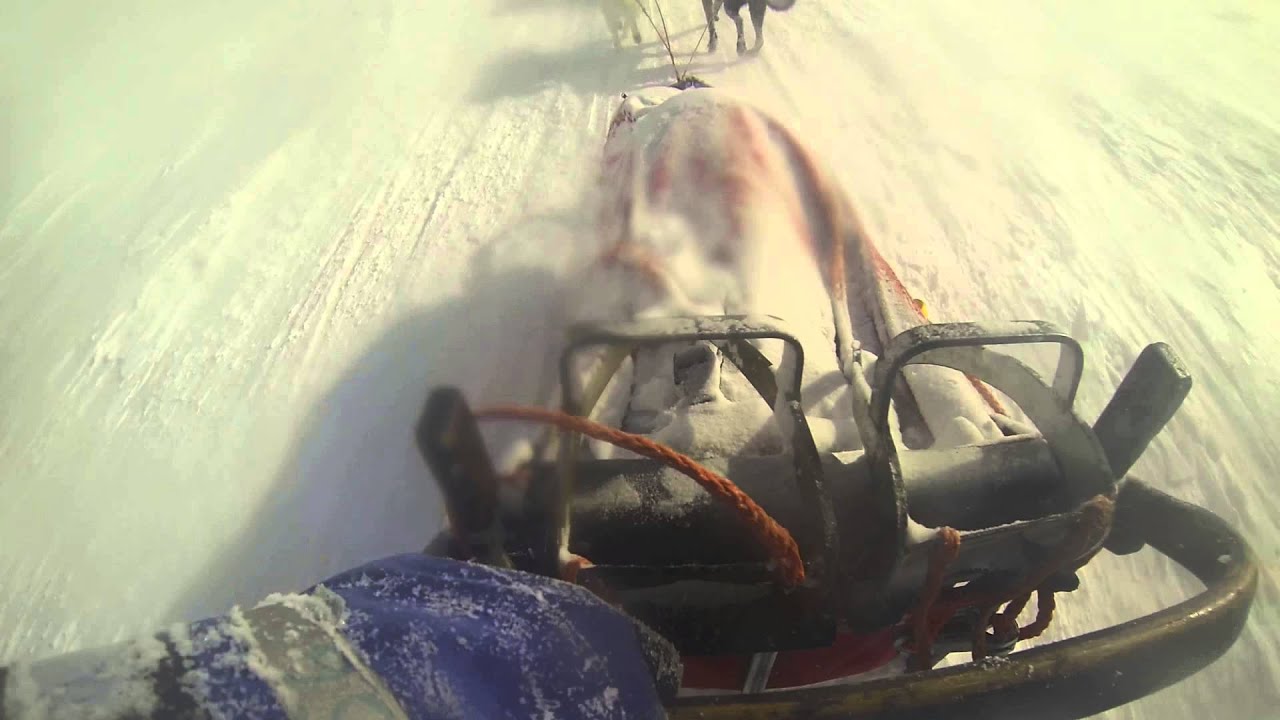 Dog sledding down Kebnekaise 2014