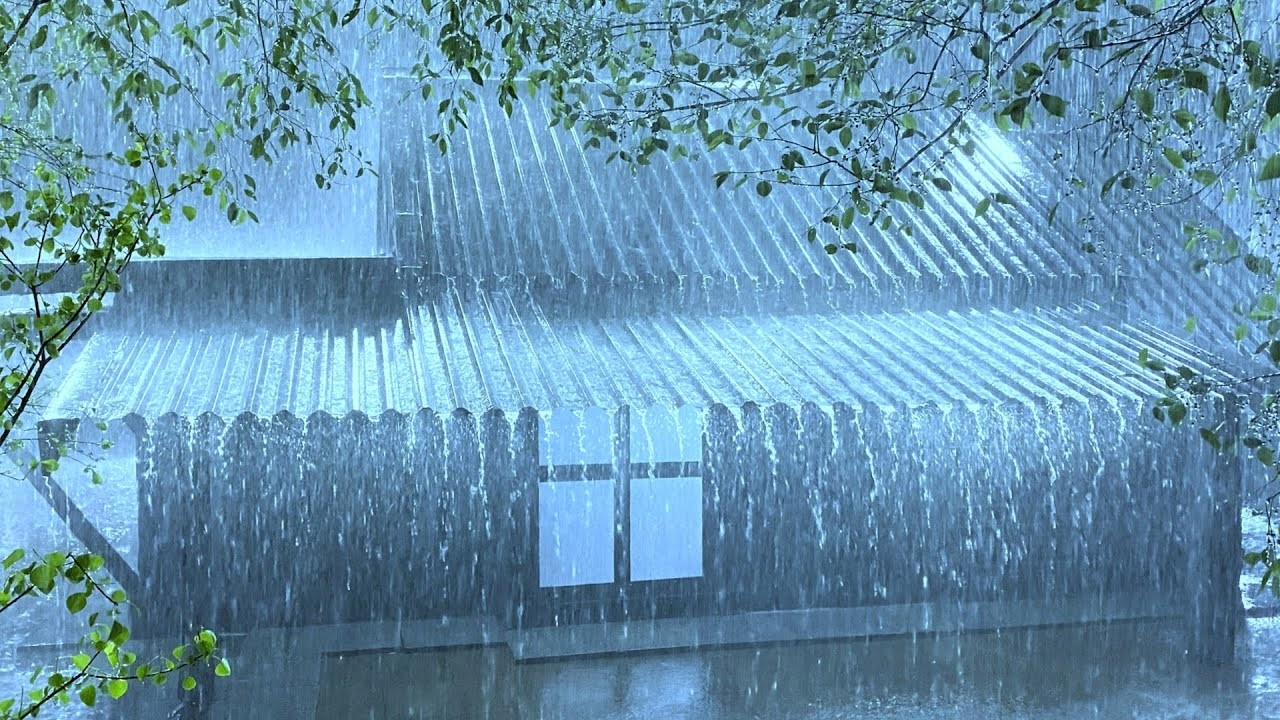 Closing My Eyes to Sleep with Torrential Rain & Thunder Roaring on Weathered Tin Roof in the Night