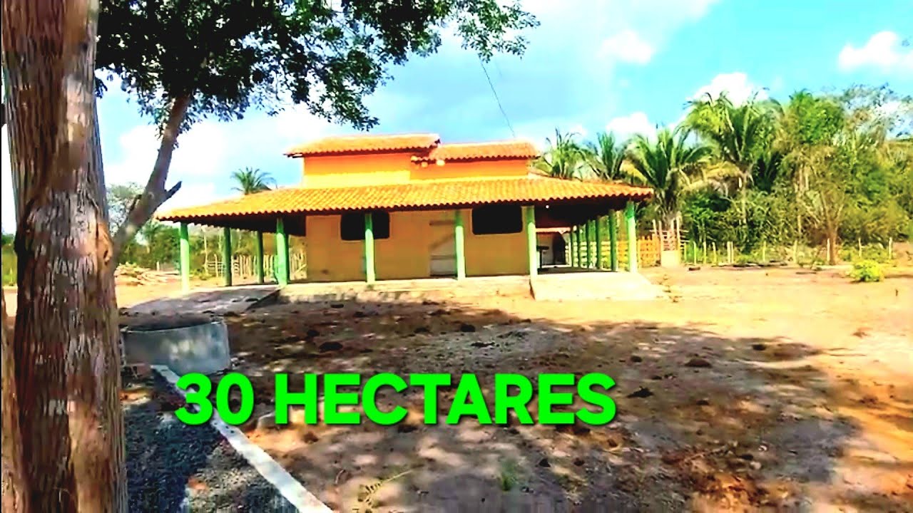 PROPRIEDADE DE 30 HECTARES COM BOA TERRA BOA AGUA EXCELENTE CASA NA BAIXINHA