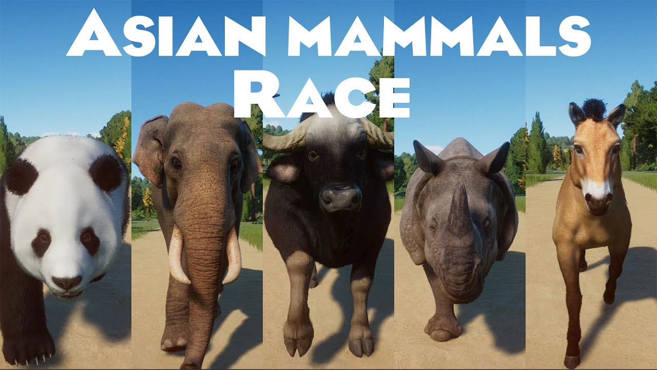 Asian Mammals Speed Races in Planet Zoo included Gaur, Indian Elephant, Przewalski's Horse & etc