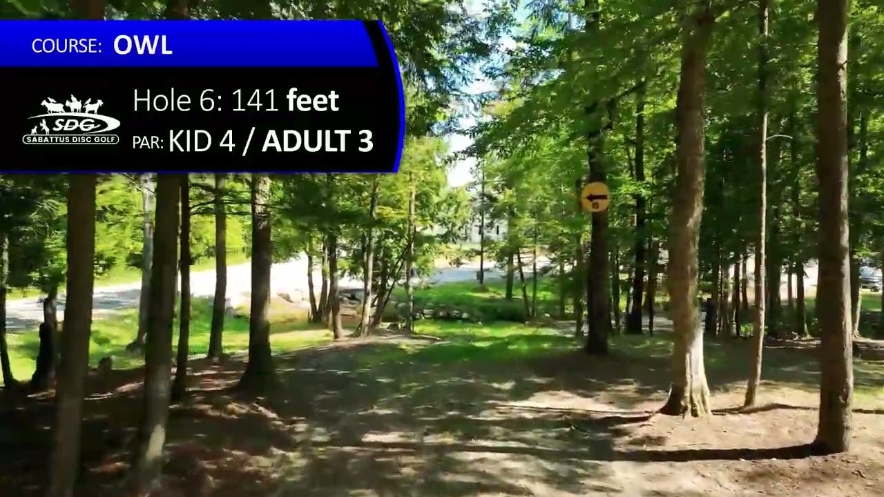 Owl Hole 6