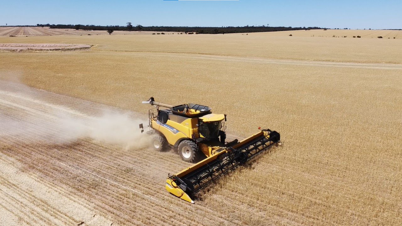 Western Australian Grain Harvest, Merredin & Surrounds 2020