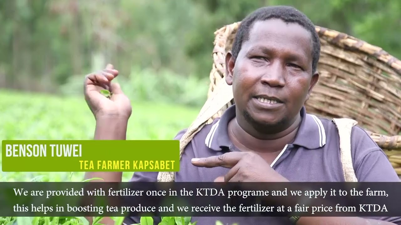 KTDA; Global Leader In Quality Teas