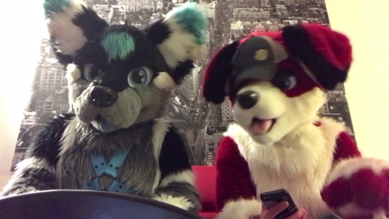 Q&A ft.Beagle.in.red!