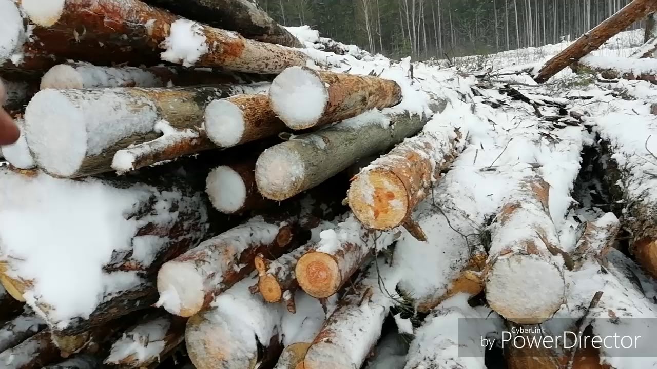 За дровами по снегу на самодельном тракторе Дерзик!