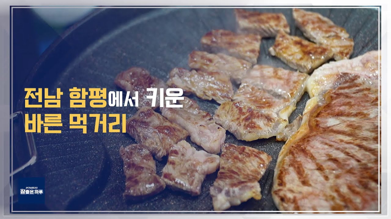 [라이프 매거진 참 좋은 하루] 함평에서 키운 바른 먹거리