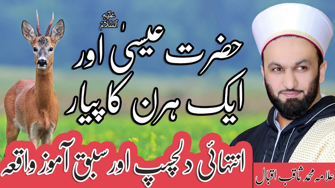 Prophet Isa and the Thief | Pir Saqib Iqbal