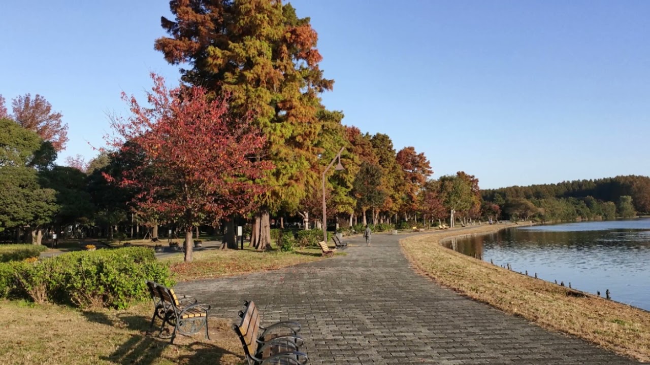 散策1　go for a stroll