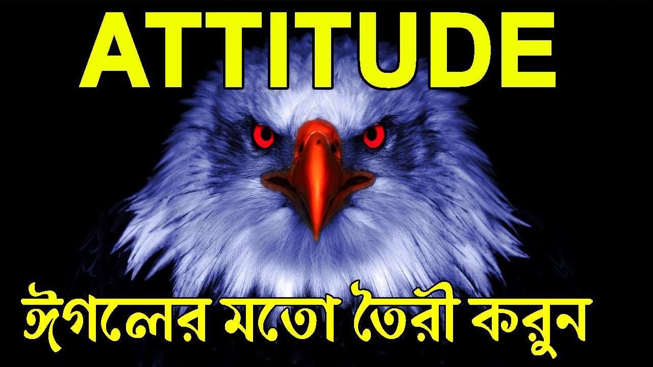 সফল হবার জন্য Attitude এমন তৈরী করুন ! Powerful Success Motivational Video ! Eagle Attitude