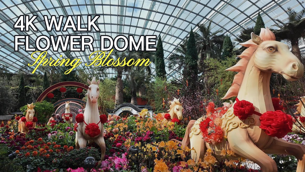 4K Flower Dome, Spring Blossom, 2026 (Gardens By The Bay, Singapore)