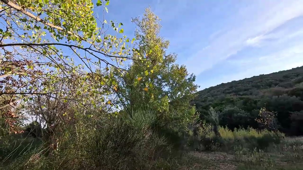 C'est dans L'Aude Albas  Automne 10 Novembre  2025  4K