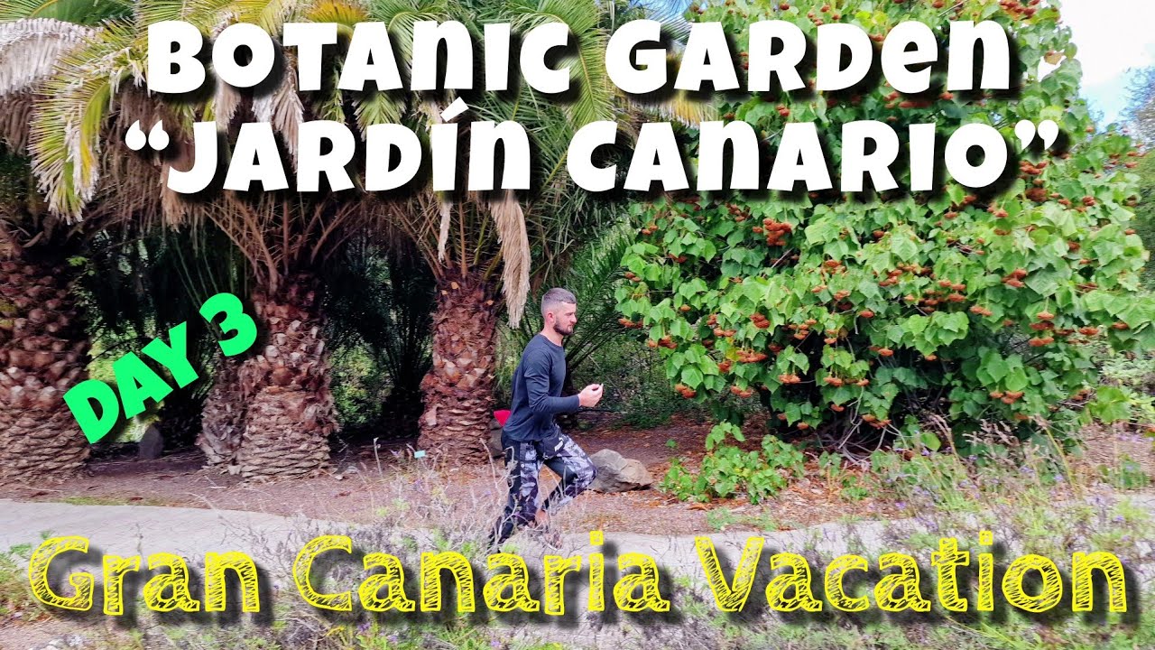 Gran Canaria Botanic Garden “Jardín Canario” (