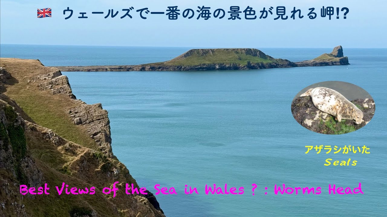 🇬🇧イギリス＃208『ウェールズで一番の海の景色が見れる岬⁉︎』 ~  Best views of the sea in Wales ? : Worms Head ~
