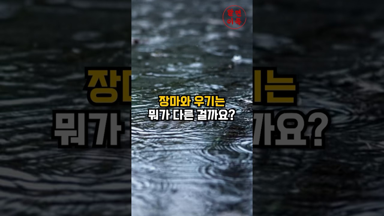 장마와 우기 같은 것 아니었어?