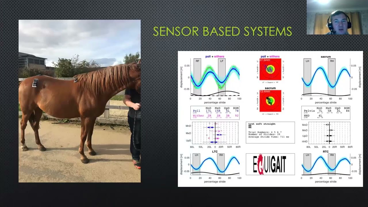 Marc Jerram: Understand how your horse moves - an introduction to gait analysis