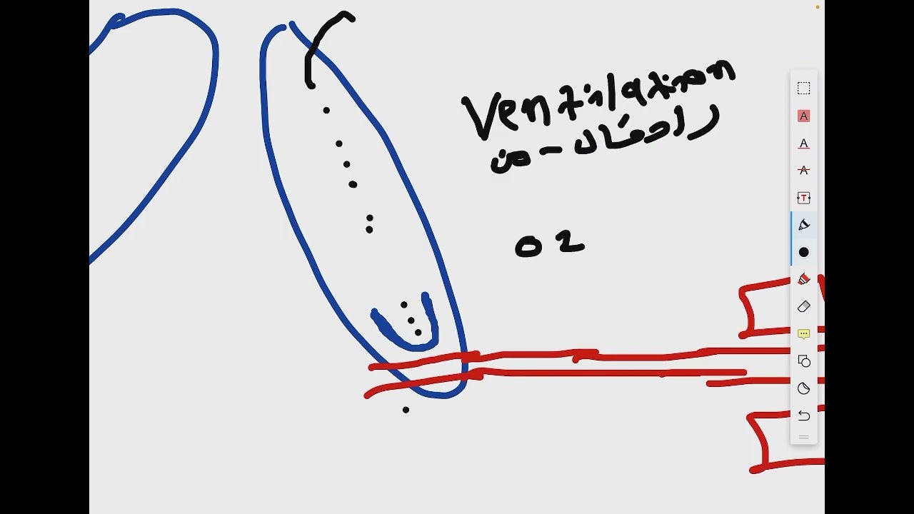 Physics of Respiratory System P1 (طب الكوفة-مرحلة اولى)