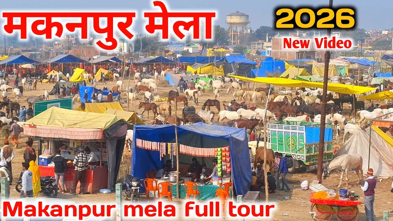 मकनपुर मेला 2026 full Tour |Makanpur mela 2026 |Makanpur mela ghoda bazar |Makanpur mela
