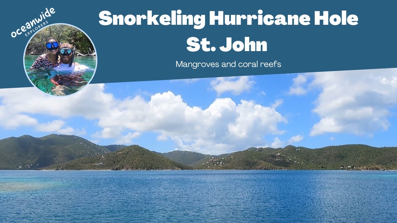 Snorkeling the PRISTINE waters of Hurricane Hole on St. John, USVI (Mangroves and Sea Turtles!)