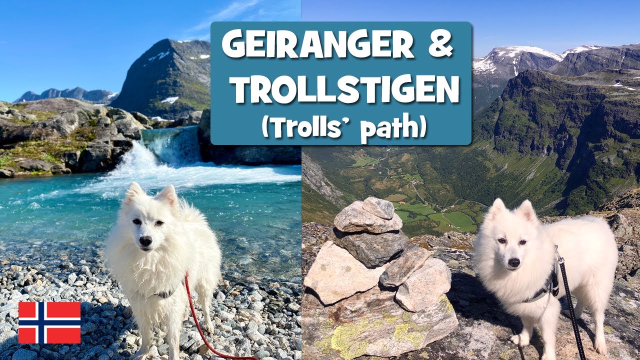 SPITZ on board the Norwegian SCENIC ROUTE Geiranger – Trollstigen (Trolls’ path)