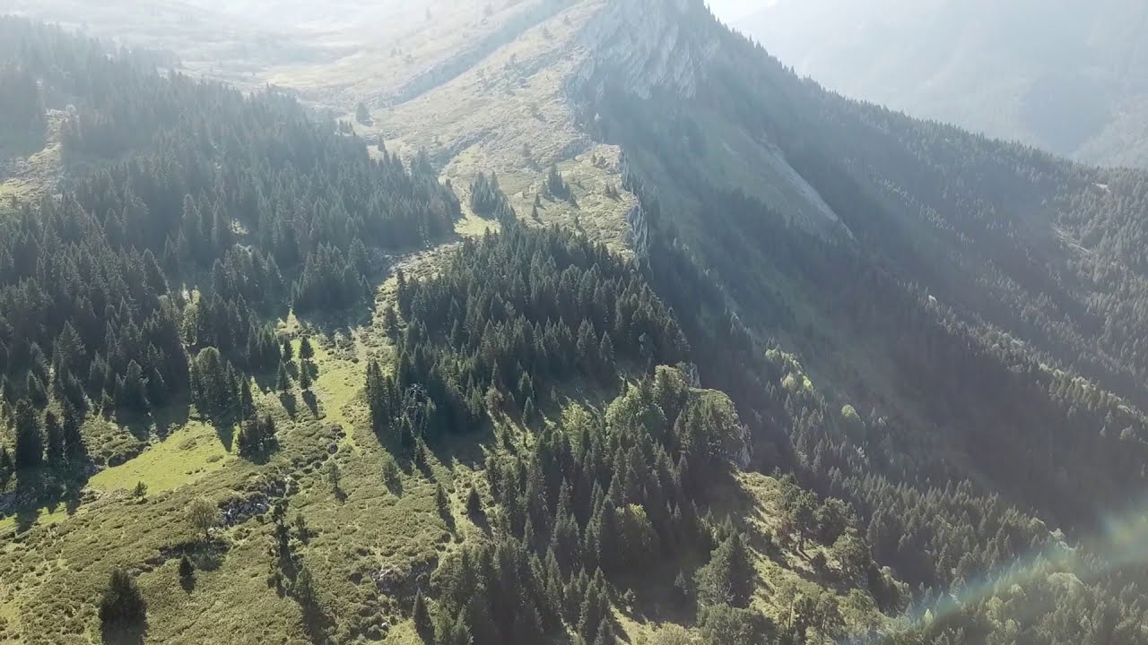 ÇATALZEYTİN ERCEK YAYLASI 2019