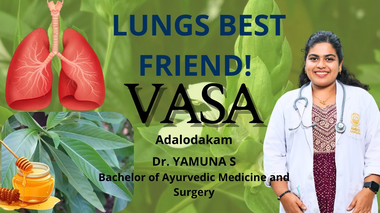 🌿 Vasa (Adhatoda vasica) – The Lungs’ Best Friend