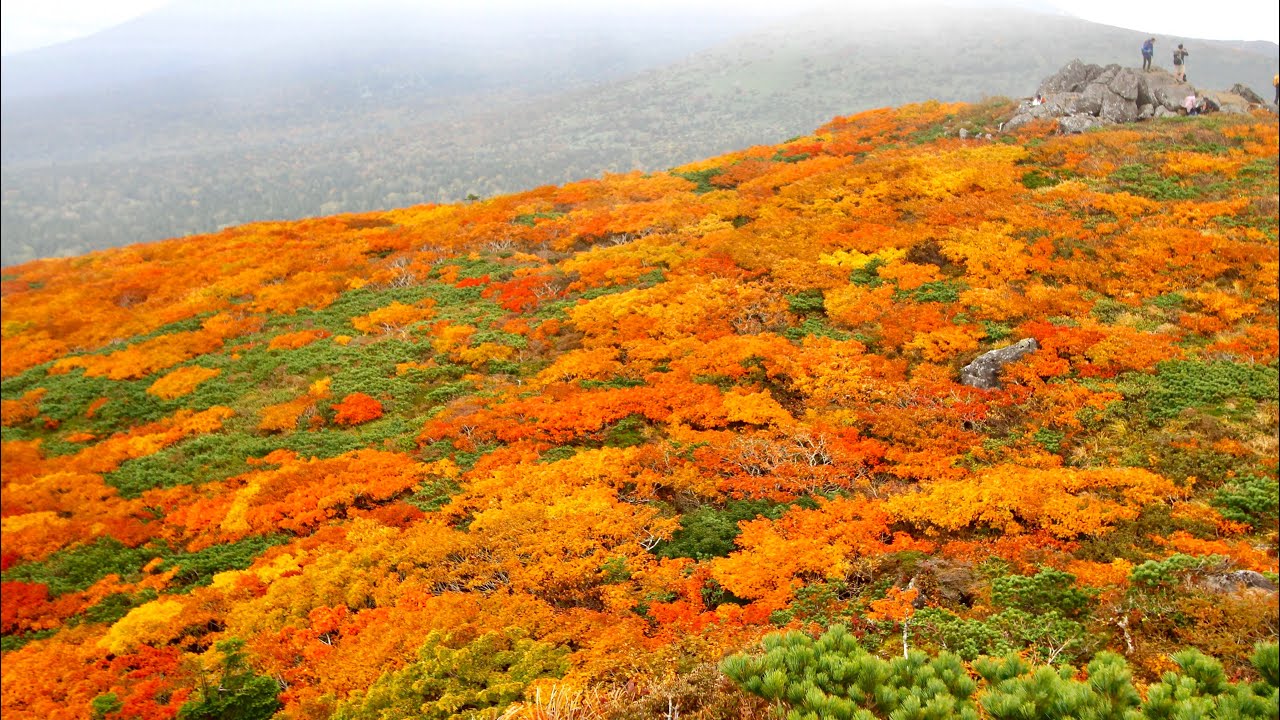 【山の絶景】東北の山「三ツ石山」の美しい紅葉🍁風景