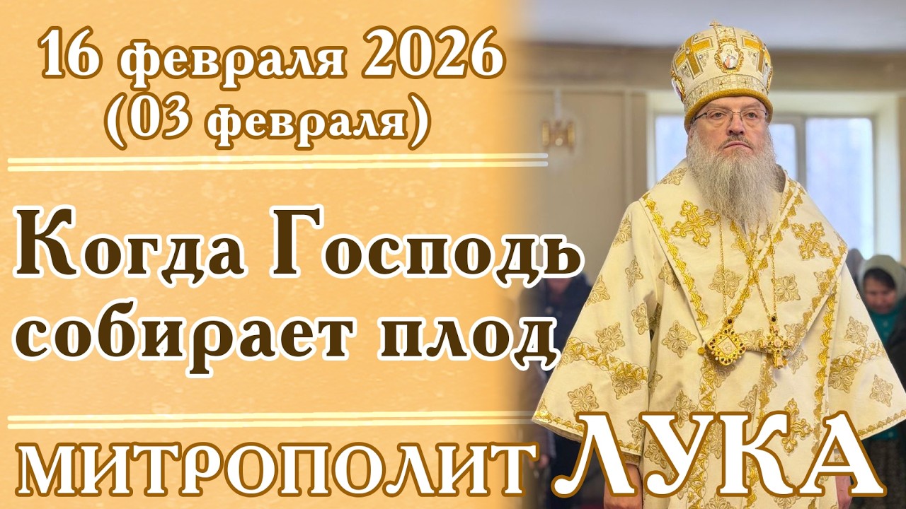 Когда Господь собирает плод
