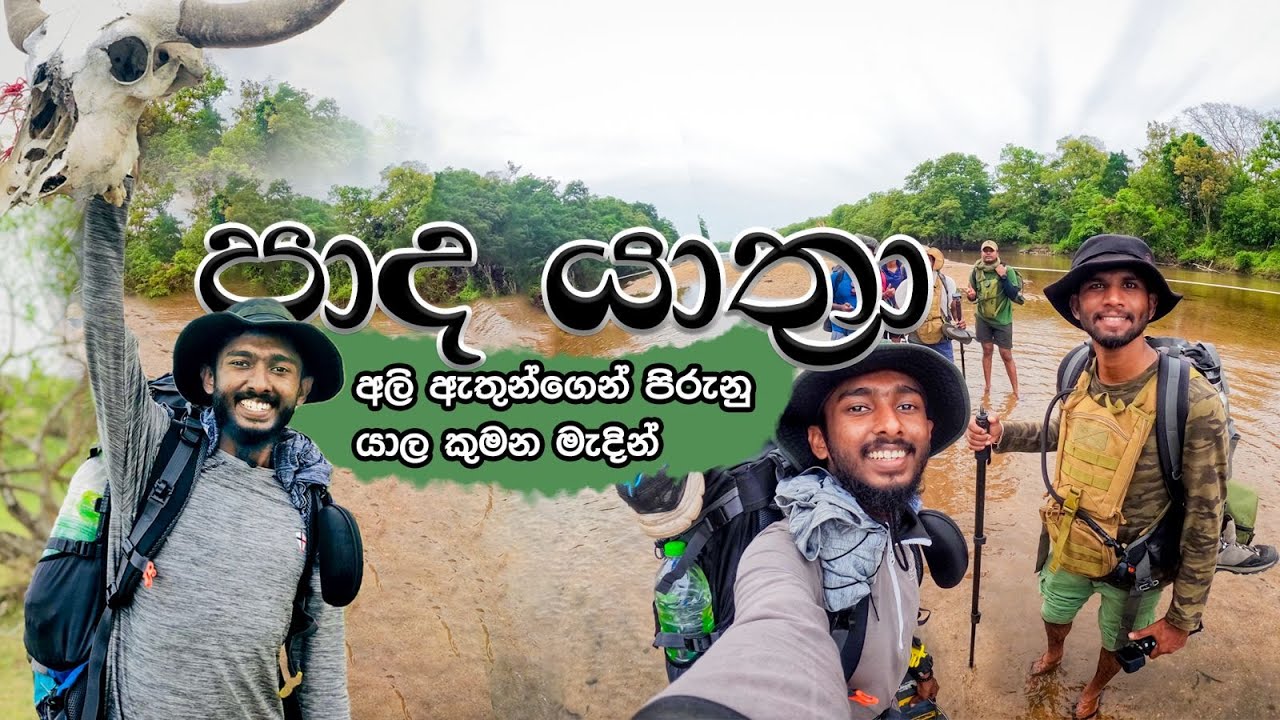 Katharagama Pada Yatra | කතරගම පාද යාත්‍රාව | 100KM+ #Panama to #Katharagama | අලිත් එක්ක ගිය ගමන...