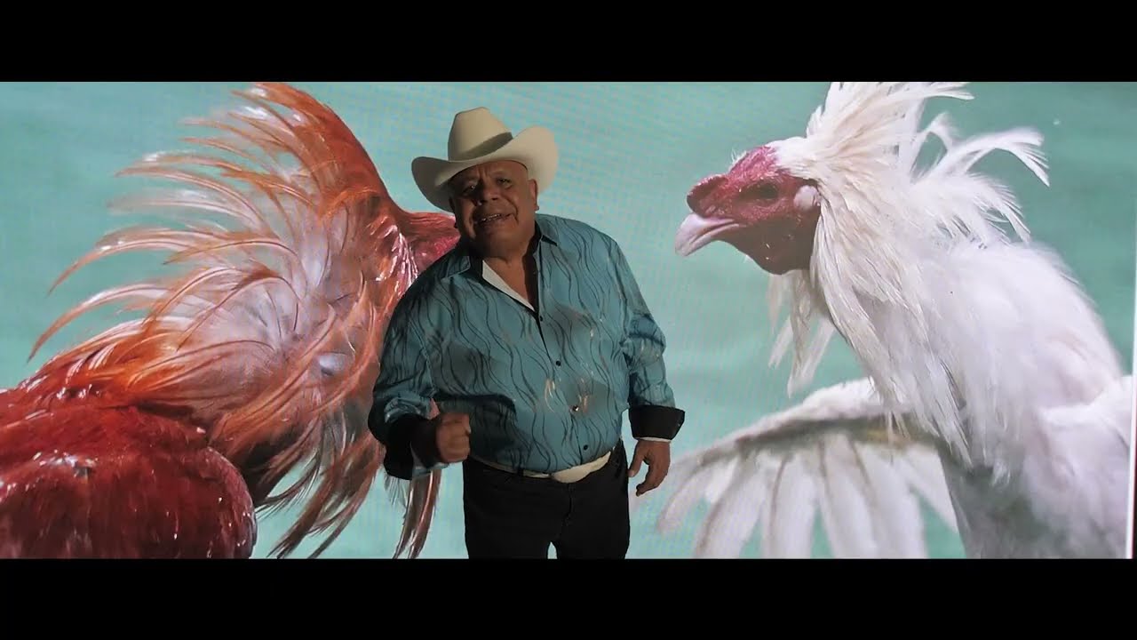 EL COMPA SACRA EL ULTIMO RAZO - ENTRE PERICOS Y GALLOS (2025)