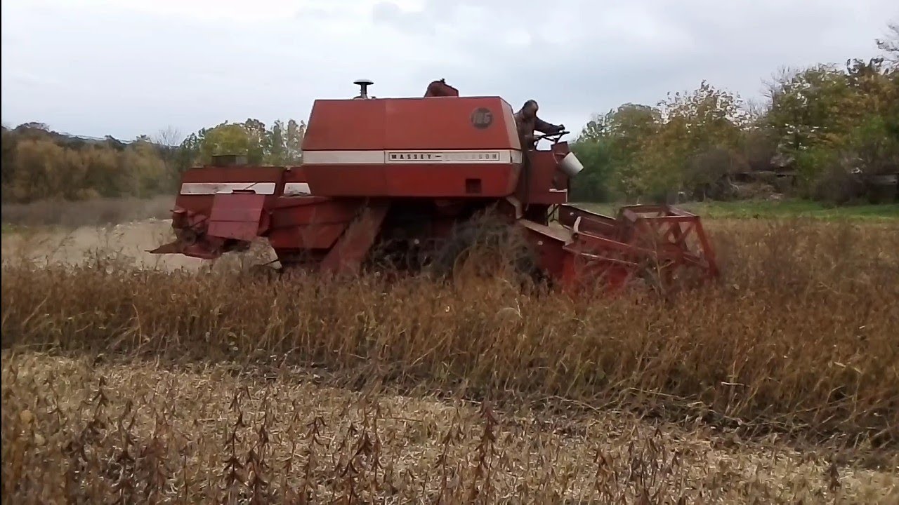 ПОПАЛИ НА ГРОШІ! Ж@ПА НА ГОРОДАХ. ЗА 2 ГОРОДИ КОНЧИЛИ НОВОГО РЕМНЯ... ЦЕ УЖАС! СОЯ 2022.