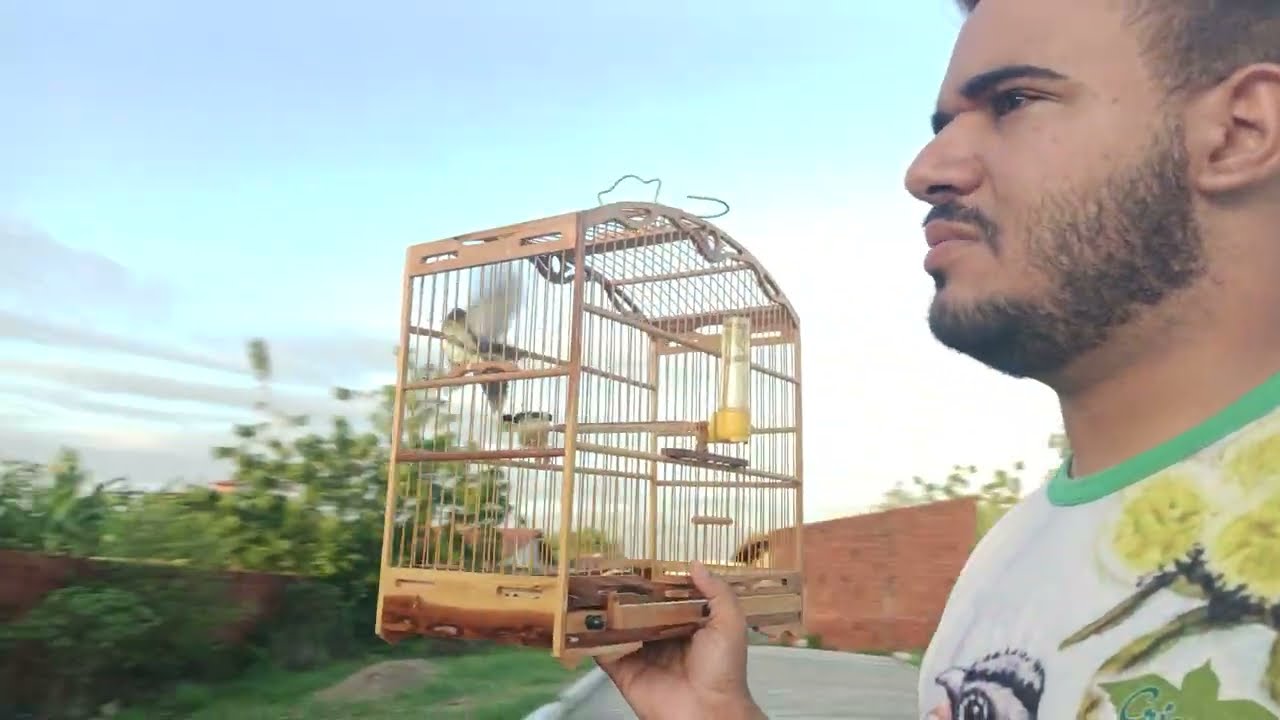 MEU BIGODINHO PARDO TA MUITO ASSUTADO