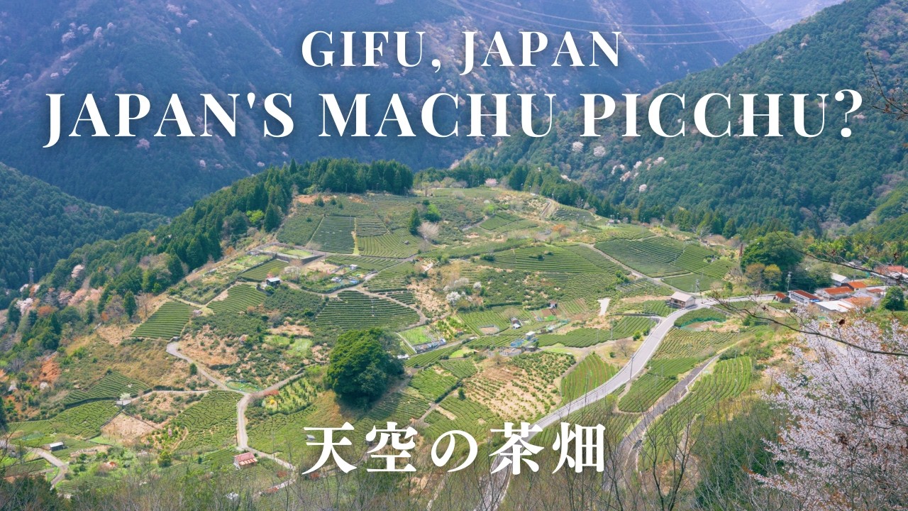 【60代夫婦旅】少し疲れた心を、整える一日｜天空の茶畑と竹灯りに癒される