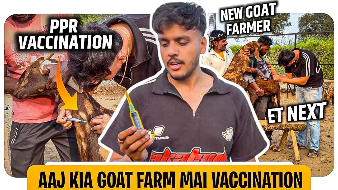 I made a GOAT🐐FARM🥲 | farm ka pehla Vaccination🩼 kaise kare?🤔PPR ET | Vaccination | 