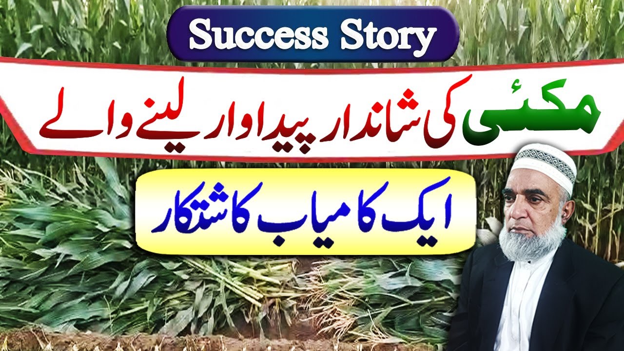 Success Story of a Maize farmer who achieved record production || Crop Reformer