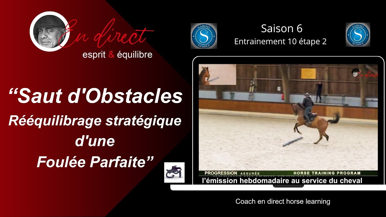 Show Jumping: Strategic Rebalancing of a Perfect Stride @coachendirecthorselearning