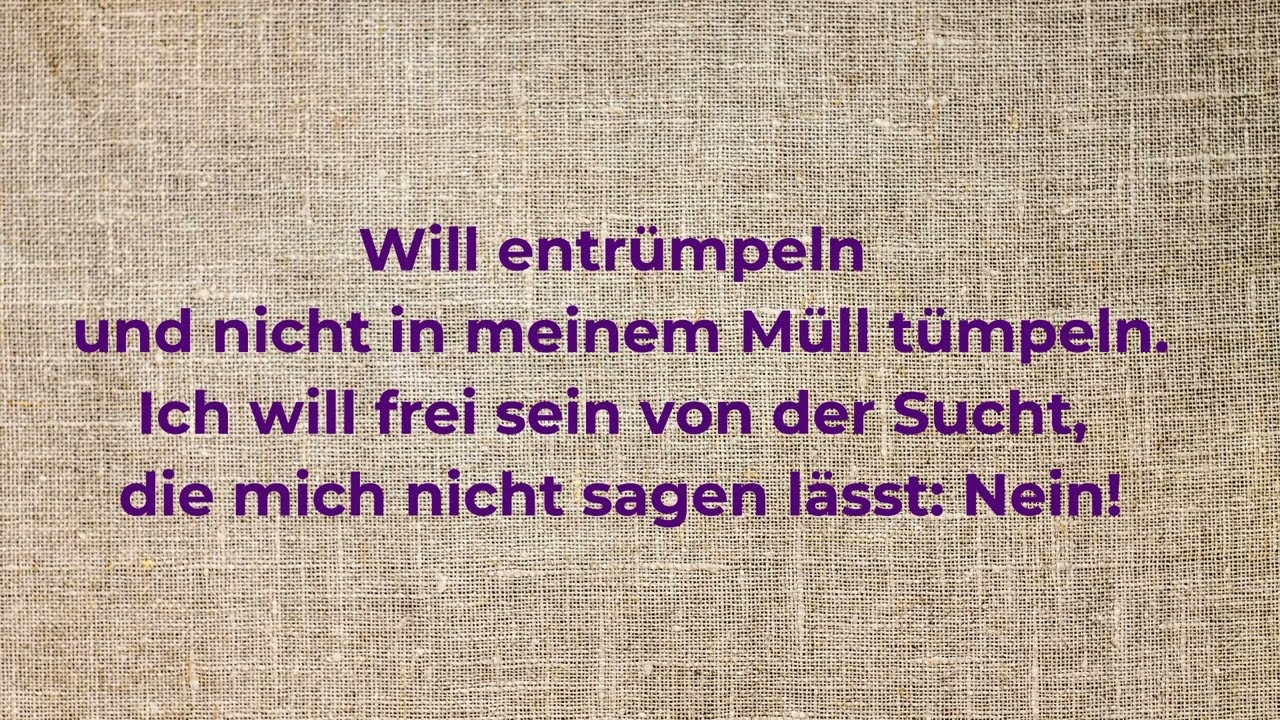Ich will fasten (Remix)