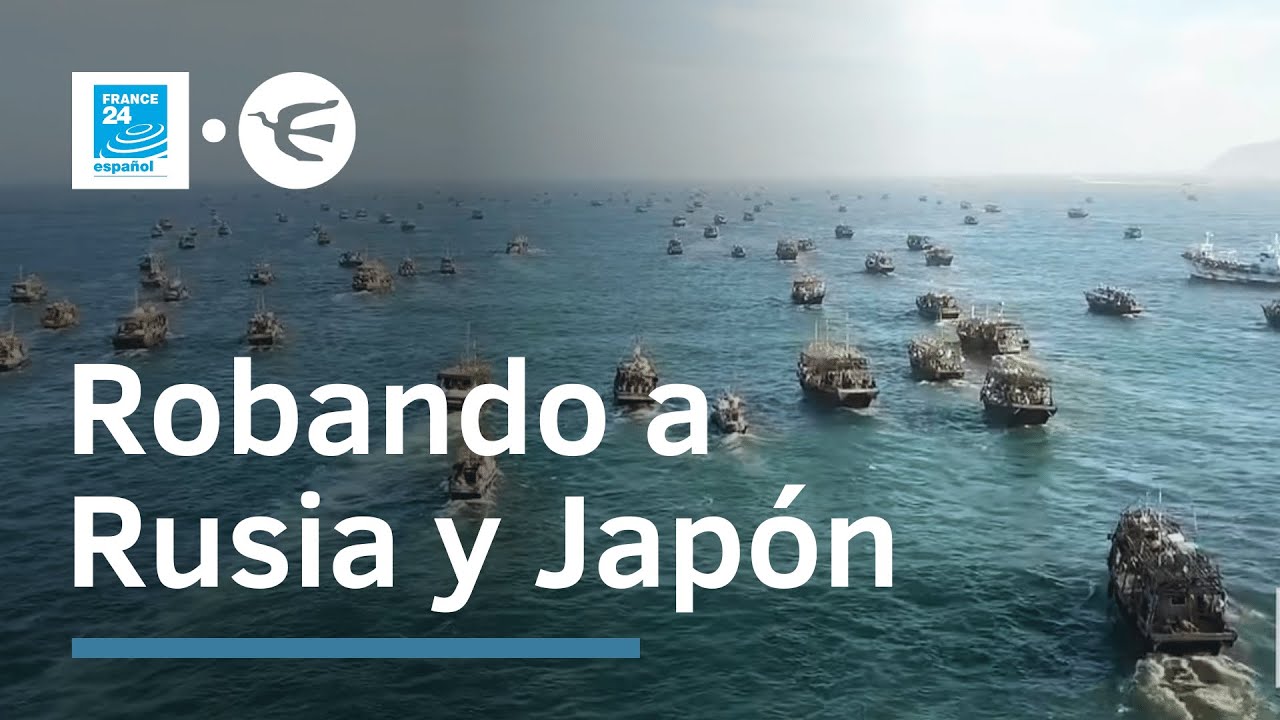 El saqueo de los pescadores norcoreanos en aguas extranjeras • Documental vía FRANCE 24 Español