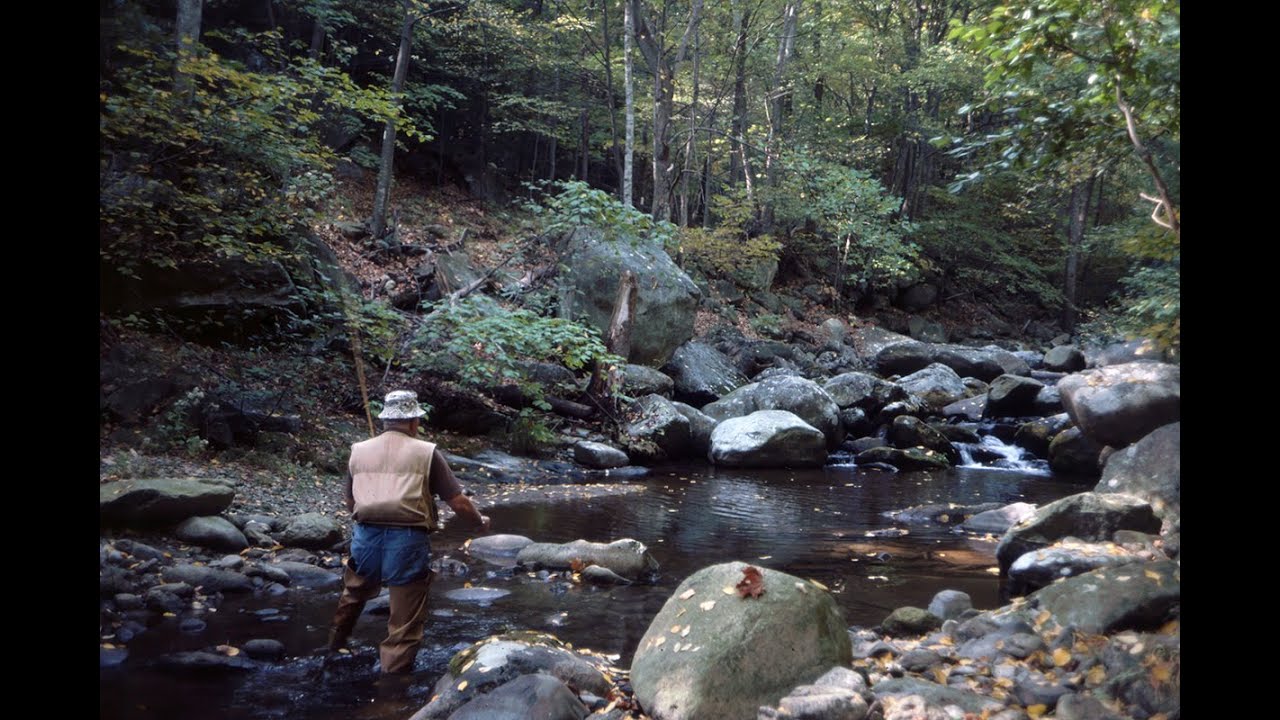 Trout Fishing in the Shenandoah National Park in May for Native Brook Trout